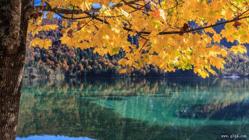 秋季唯美风景图片大全 秋天枫叶图片 第6张